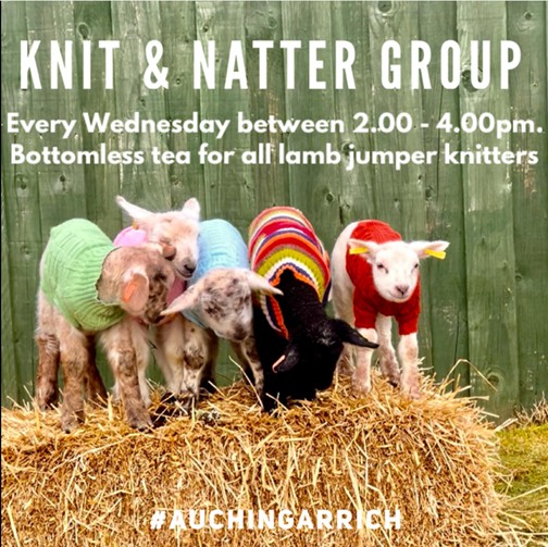 Knit and Natter Wednesdays